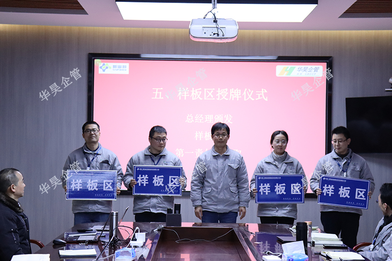 荊門新宙邦新材料 精益管理項目咨詢